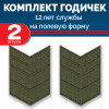 Набор годичек 12 лет полевые 2 шт