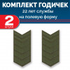 Набор годичек 22 года полевые 2 шт