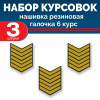 Набор курсовок па галочка 6 курс (желтая, черный фон) 3 шт