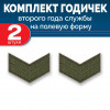 Набор годичек 2 год полевые 2 шт